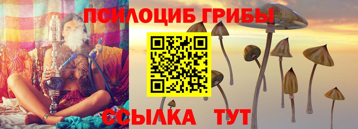 Галлюциногенные грибы Cubensis  Вход с VPN  Феодосия 