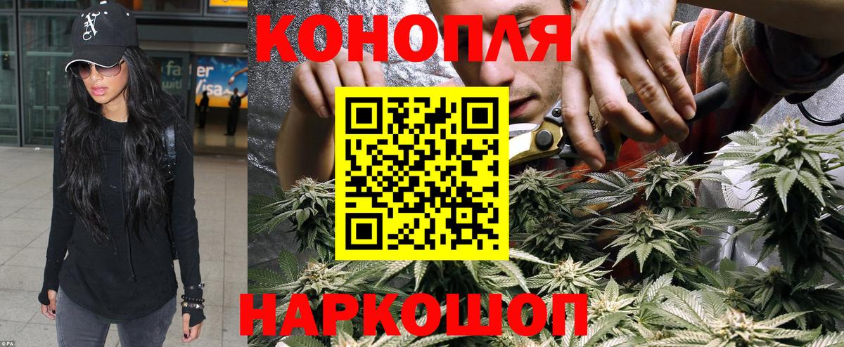 Бошки Шишки марихуана Феодосия